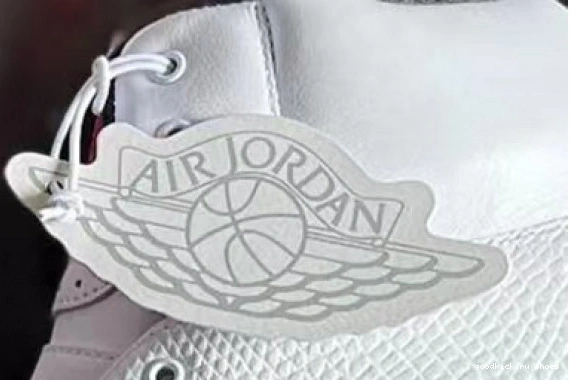  DX2454-106 2   Jordan Retro OG DX2454-106 Chicago 0427